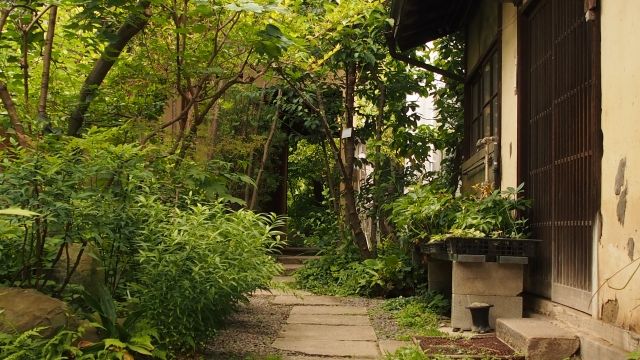 庭木や雑草が茂る地方の実家の玄関。相続後に最初に現状を確認する実家の様子。