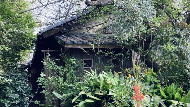 緑に囲まれた地方の古い木造住宅。都会で暮らす子どもが相続する実家のイメージ。